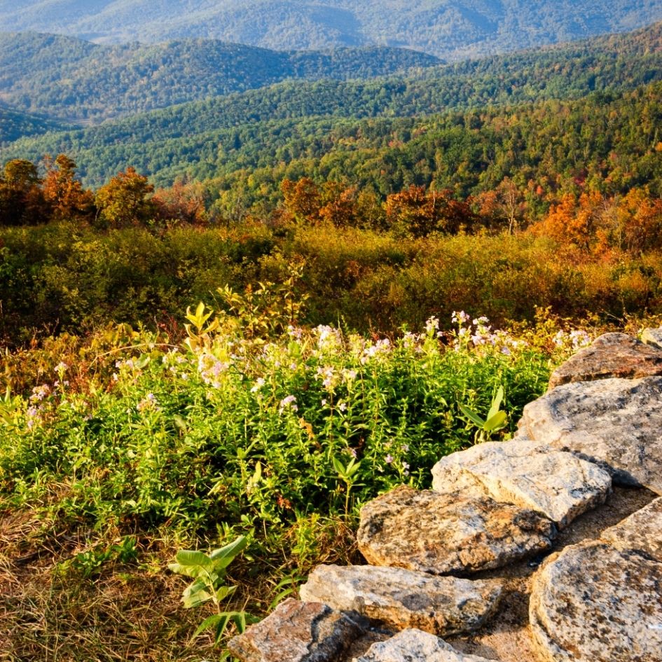 USA National Parks Travel Tips